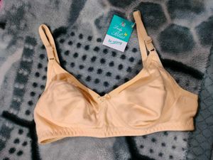 Lady Bliss Premium Bra Set Of 2