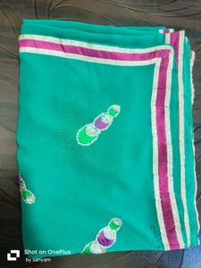 Sea Green saree with blouse