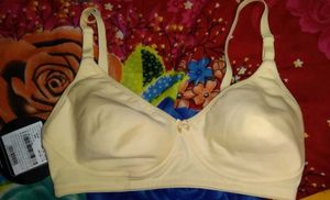 Clovia T-shirt Light Padded Bra 7847867130