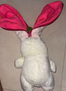 Strawberry Plush Teddy