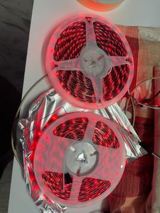 12 V Pixel Lights (2)