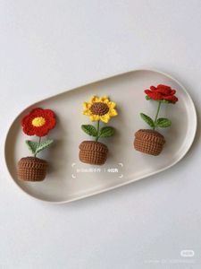 Crochet Flower Pot