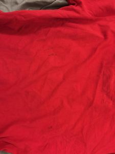 Evisu Fitted T-Shirt