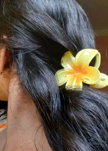 Flower Hair Clips - Set of 4