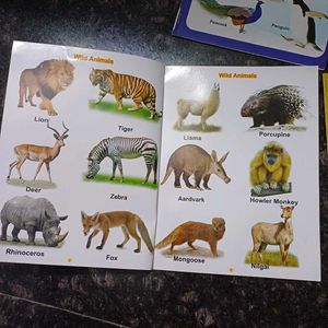 Toddler Books