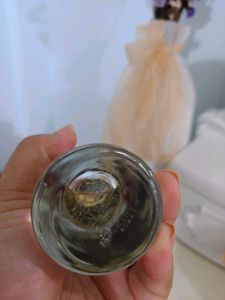 Zara Golden Decade Perfume