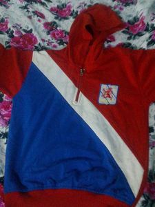 Vintage Colorblock Hoodie