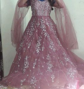 Beautiful Fall Sleeve Party Wear  Gown