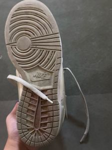 Nike Dunks Women