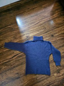 Urbanic High Neck Sweater