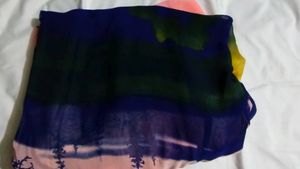Colorful Saree