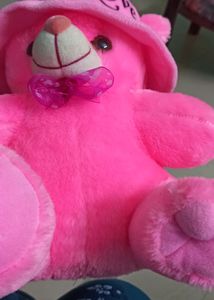 Pink Teddy Bear