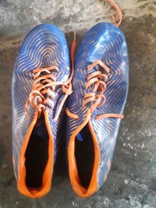 Sport Shoes