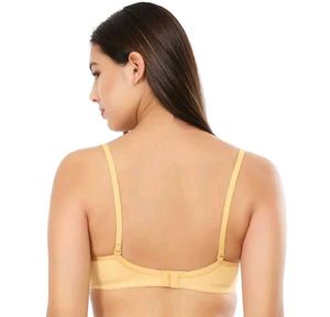 Everyday Sexy Bra