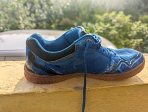Yonex Court King Badminton shoes