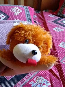 Combo Of Kids Soft Toys