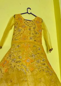 Elegant Ethnic Gown