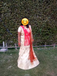 Gorgeous Lehenga Choli