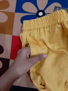 Brand New Embroidered Plazzo