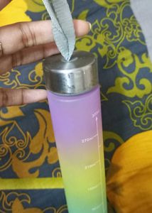 Gradient Water Bottle- 300ml