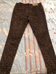 Leopard Print Trouser