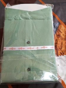 Pista Green Colour Shirt