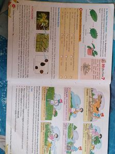 Learning Science, Grade 5 - Cordova