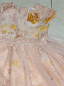 Max Brand Princess Frock