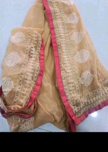 Beige emboidery soft light pure jorget dupatta