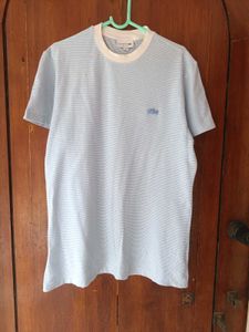 Lacoste T Shirt For Men