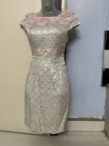 Korean Silk Silver Bodycott One Piece