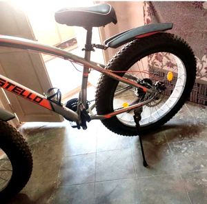 Fat Bicycle