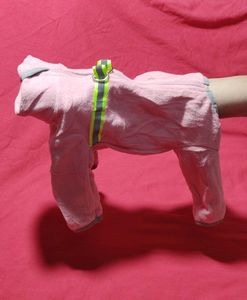 Dogs Cats Long Sleeve Bodysuit