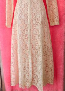 Vintage Sheer Lace Dress