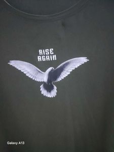 Zara Olive Graphic Tee