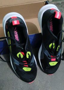 Mens Sports Shoes 👟