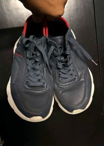 US Polo Assn Sneakers