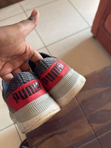 Puma Grey Knit Running Shoes