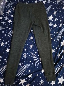 Pant