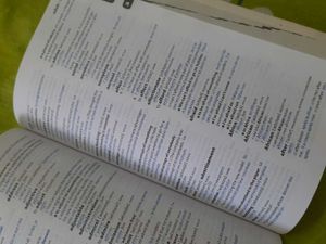 Collins French Dictionary 📃