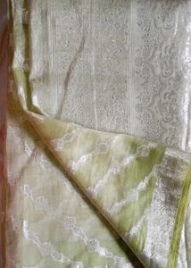 Elegant Light Green Sari with Silver Detail