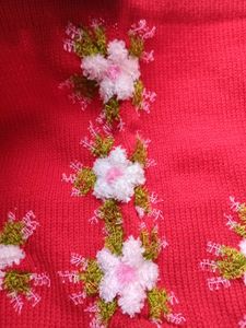 Red Embroidered Woolen Blouse