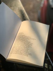 THE GOAT LIFE(aadu Jeevith) Novel Malayalam