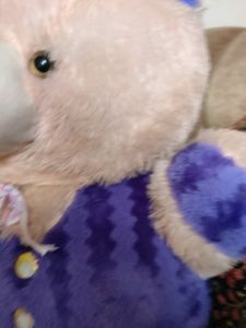 Big Size Teddy Bear