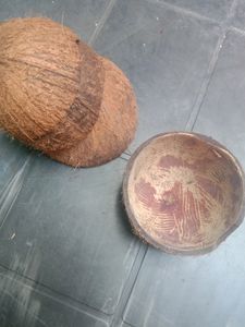 10 Coconut Shell