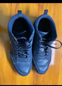 U.S. Polo Assn. Men Navy Blue Solid Sneakers
