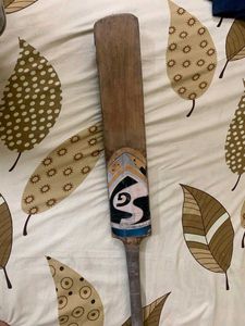 Kashmir Willow Sg Bat