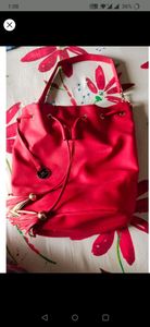 Diana core branded bag