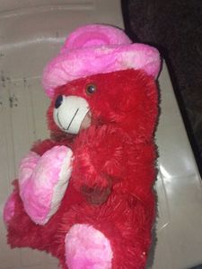 Red Teddy Bear with Pink Heart