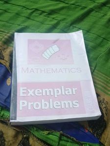 Mathematics Exemplar Problems - Class VIII